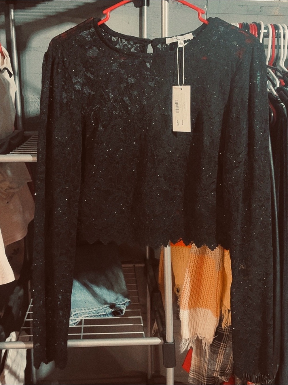Black Lace Long-Sleeve Cropped Top - Women